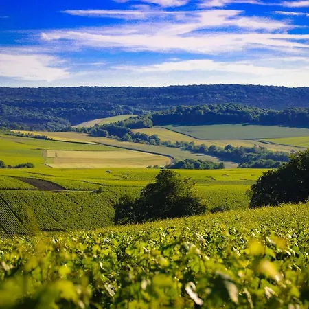 アパート The Sparkling Castle ランス