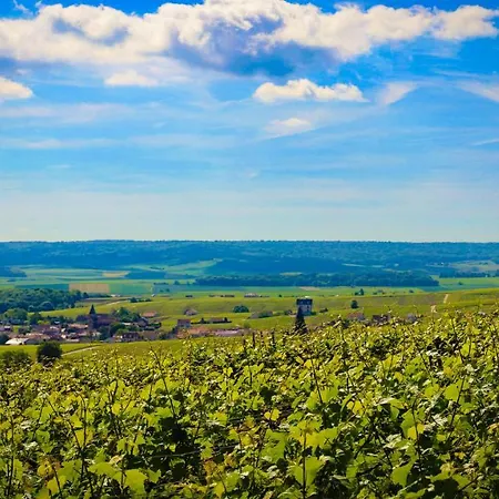 Apartment The Sparkling Castle Reims