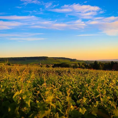 The Sparkling Castle ランス