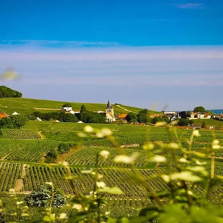 The Sparkling Castle アパート ランス