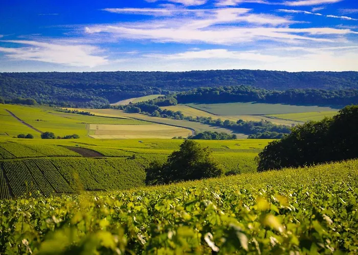 Apartment The Sparkling Castle Reims