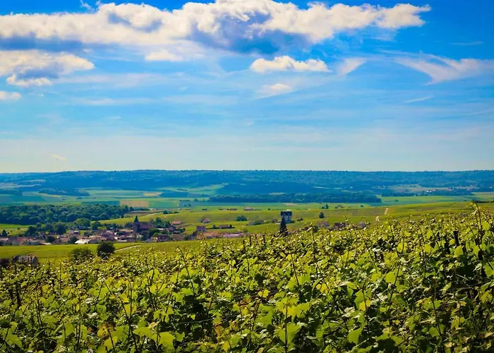 Apartment The Sparkling Castle Reims