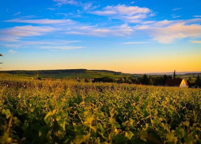 The Sparkling Castle Reims