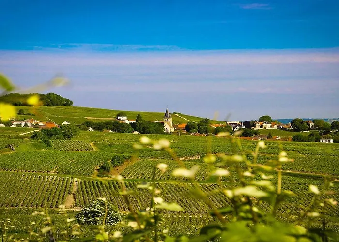 The Sparkling Castle Apartment Reims