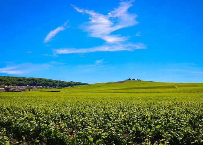 The Sparkling Castle * Reims